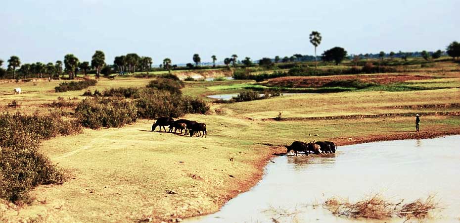 Rural Cambodia: where there are no high schools